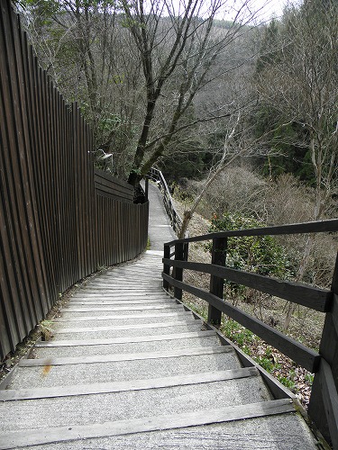 樹やしき6