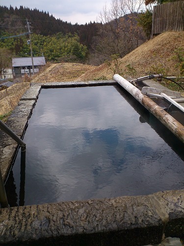 樹やしき12