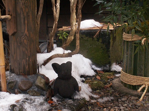 ふじ屋8