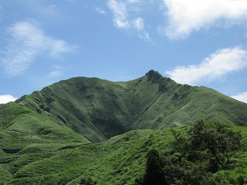 草原6