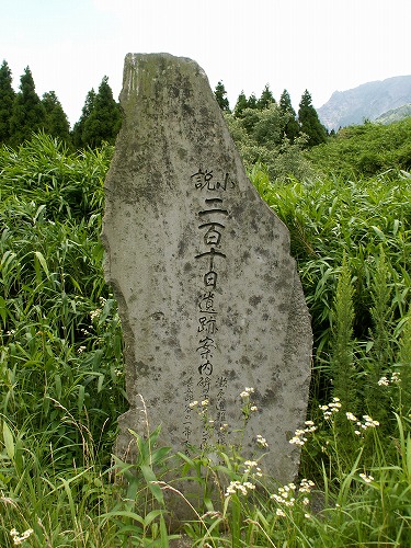 草原18