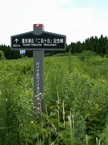 草原13
