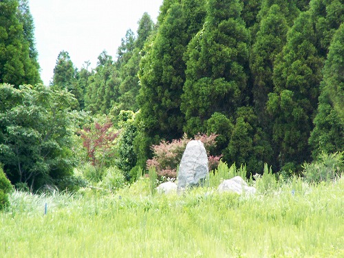 草原10