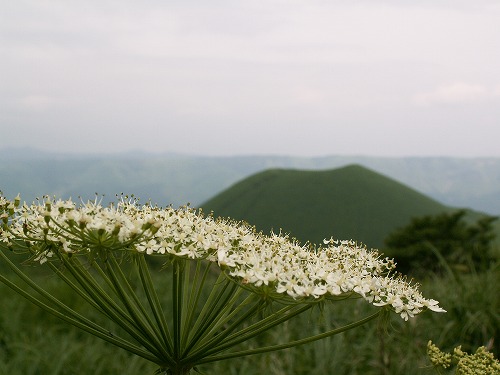 米塚13