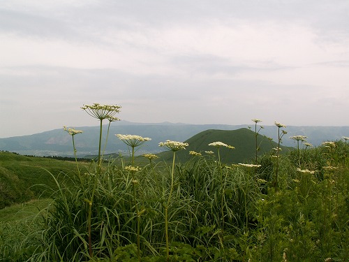 米塚7