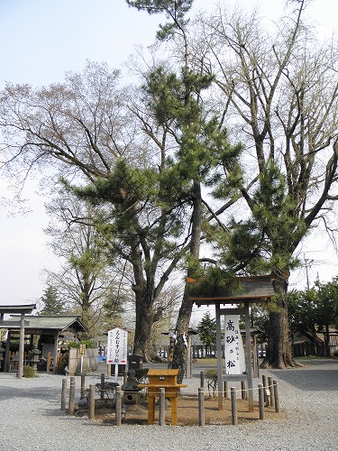 阿蘇神社12
