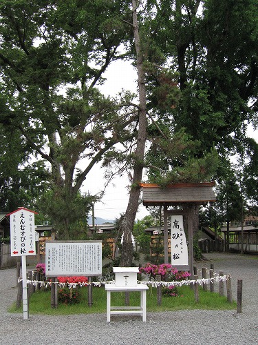 阿蘇神社14