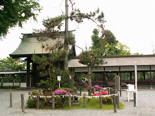 阿蘇神社17
