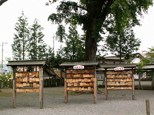 阿蘇神社22