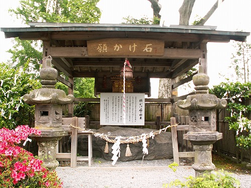 阿蘇神社19