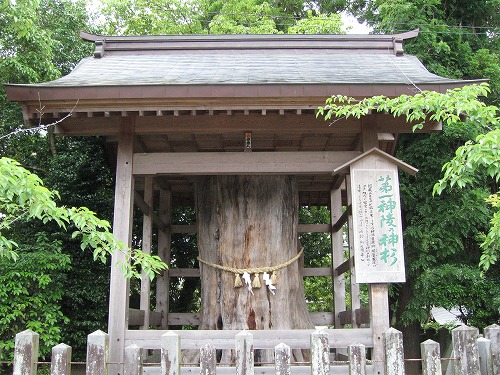 阿蘇神社2