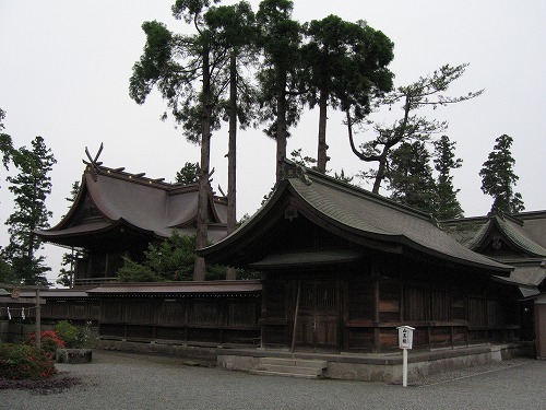 阿蘇神社15
