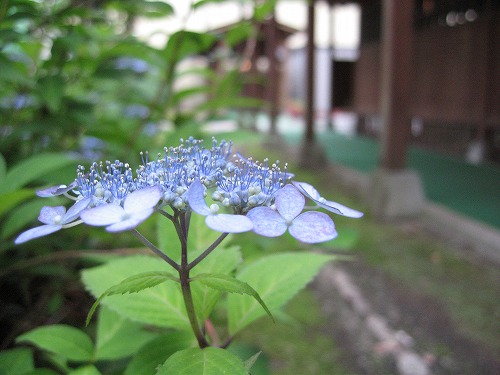 清風荘16