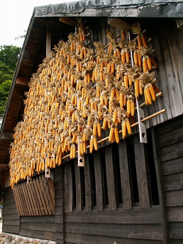 すずめの湯19