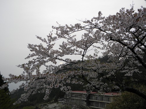 清風荘5