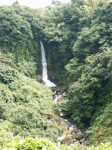 数鹿流ケ滝10