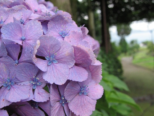 明神池名水公園11