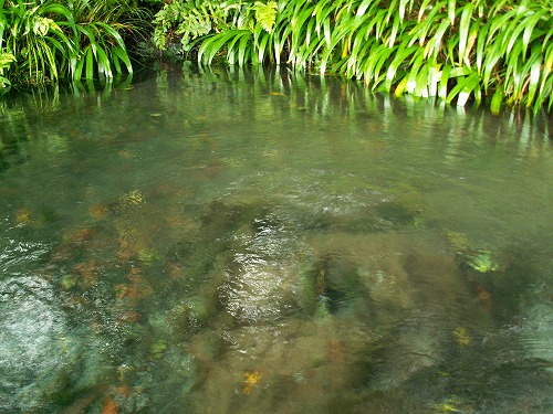 明神池名水公園7