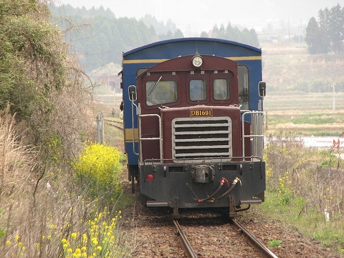 トロッコ列車18