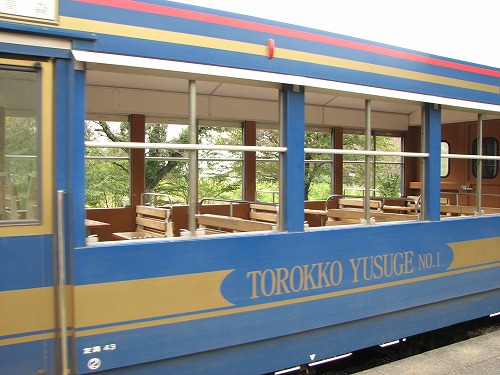 トロッコ列車25