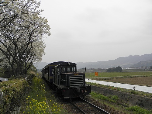 トロッコ列車29