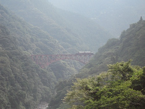 トロッコ列車7