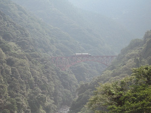 トロッコ列車8