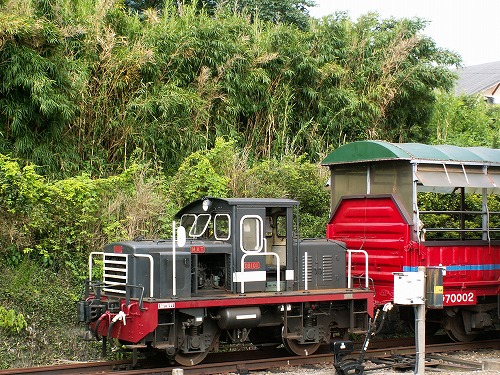 トロッコ列車9