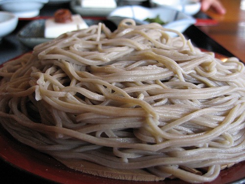 吾亦紅6