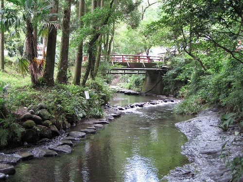 白川水源9