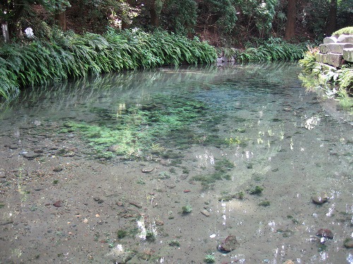 白川水源8