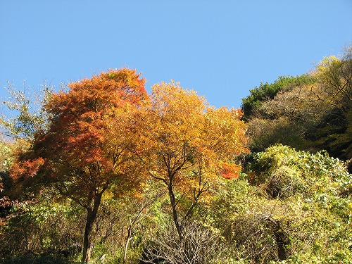 山口旅館22