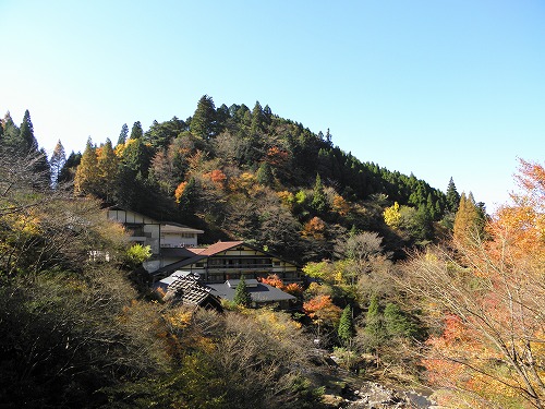 山口旅館1