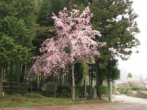国造神社1