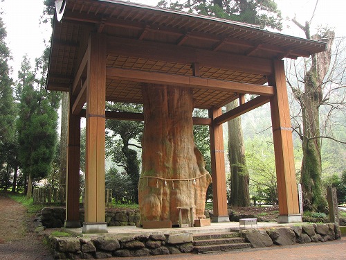 国造神社12