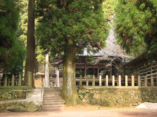 国造神社13