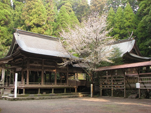 国造神社10