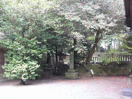 国造神社17