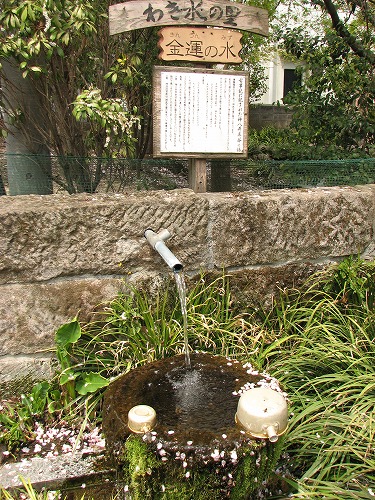 水基16