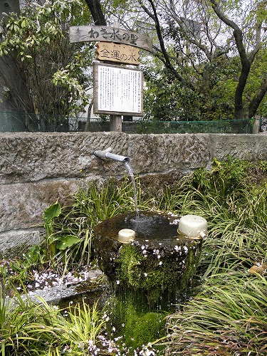 水基18