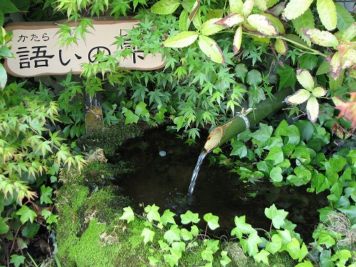 水基巡4