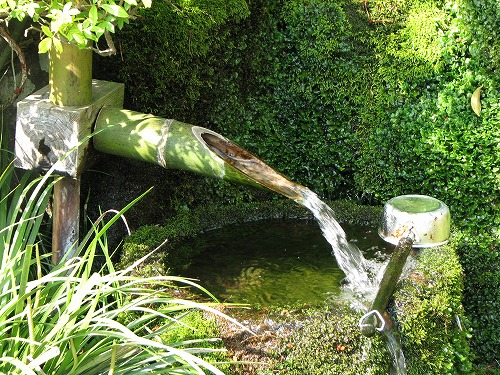 水基巡14