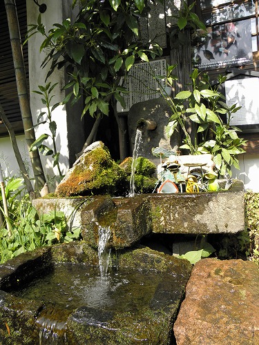 水基巡8