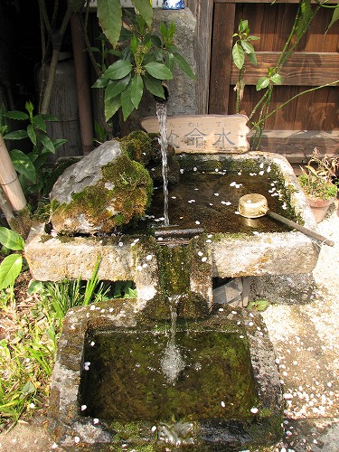 水基巡9