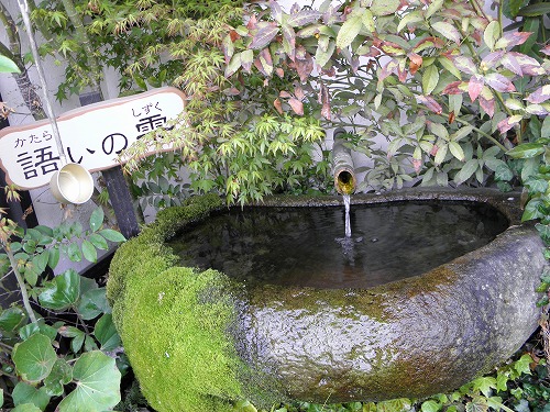水基巡6