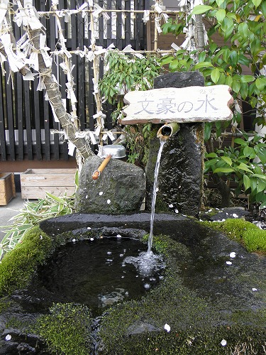 水基巡3