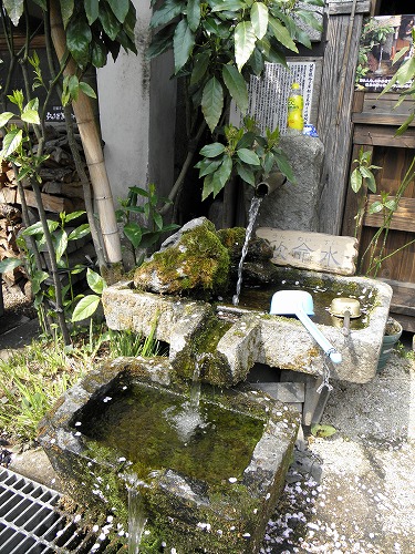 水基巡10