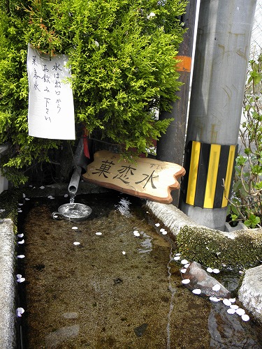 水基巡26