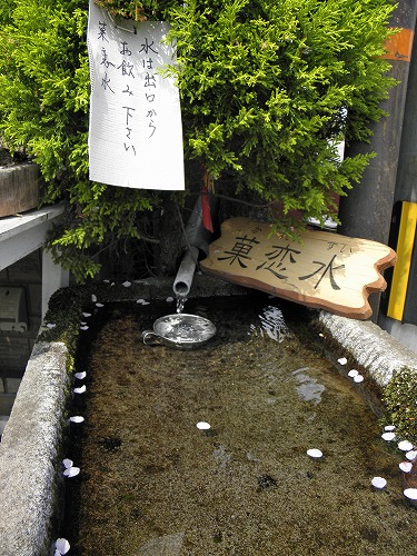 水基巡25