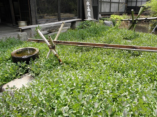 阿蘇水基屋敷7